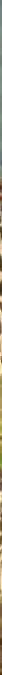 Hero section background
